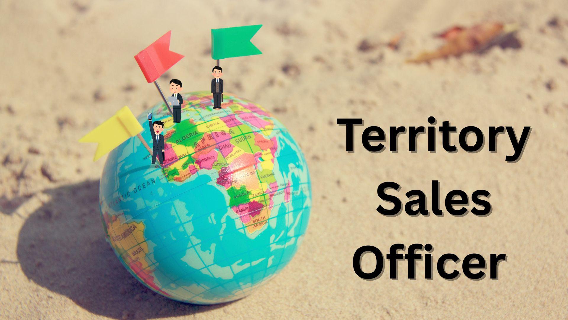<strong>Territory Sales Manager in EdTech: Key Responsibilities, Skills & Career Opportunities</strong>