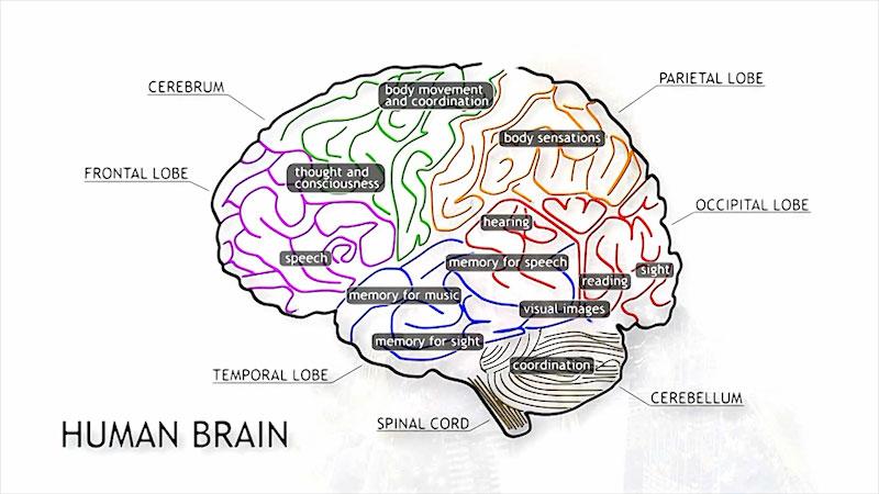 Unlock Success: The Importance of Emotional Intelligence in Education Explained