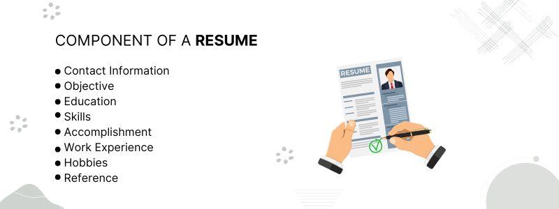 Curriculum Manager: Key Responsibilities, Skills, and Career Guide for 2024