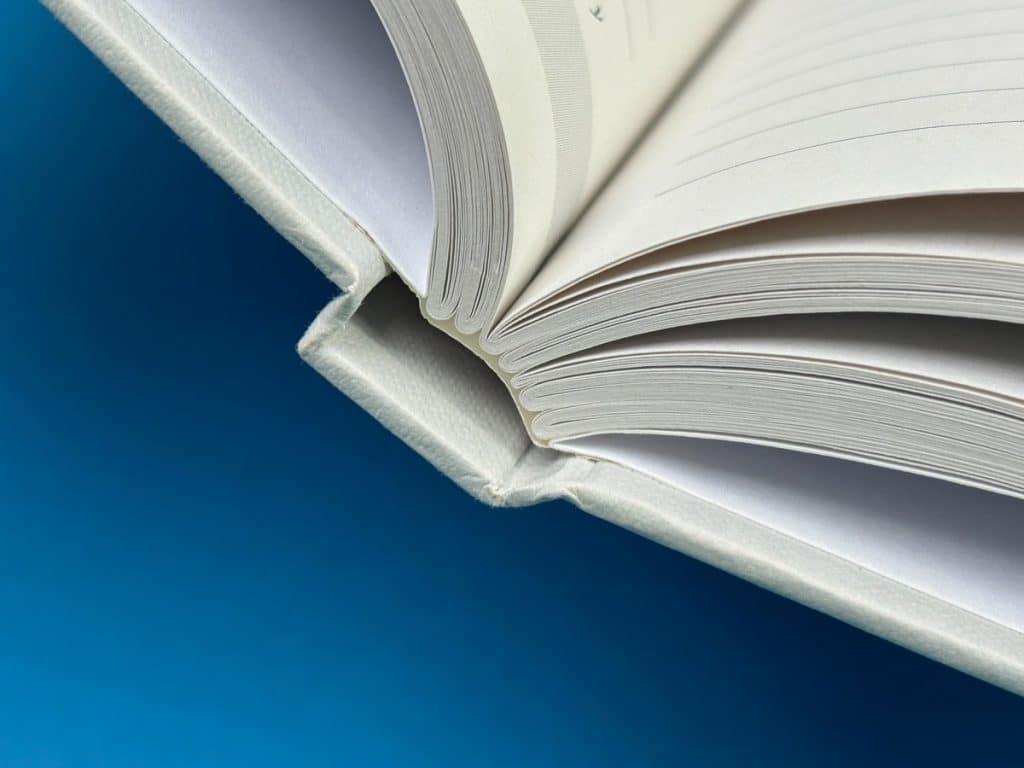 How to Become a Multimedia Designer: Essential Education Paths & Requirements