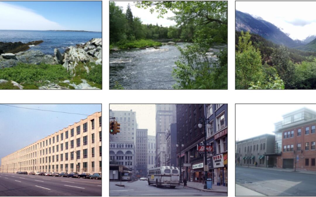 Microlearning Revolution: The Future of Education Explained