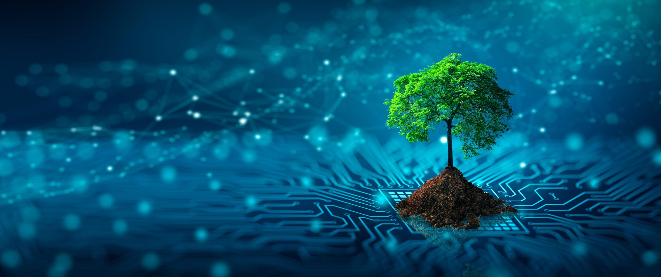 Bridging the Digital Divide: Top Global Initiatives Empowering Connectivity Worldwide