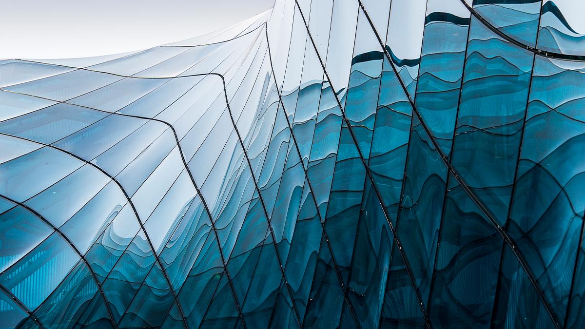 Top Skills and Responsibilities of an HR Director in EdTech: Career Insights & Industry Trends