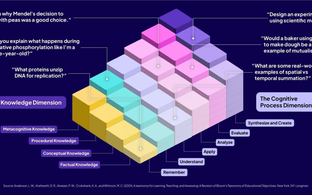 User Support Analyst in EdTech: Key Skills & Career Opportunities