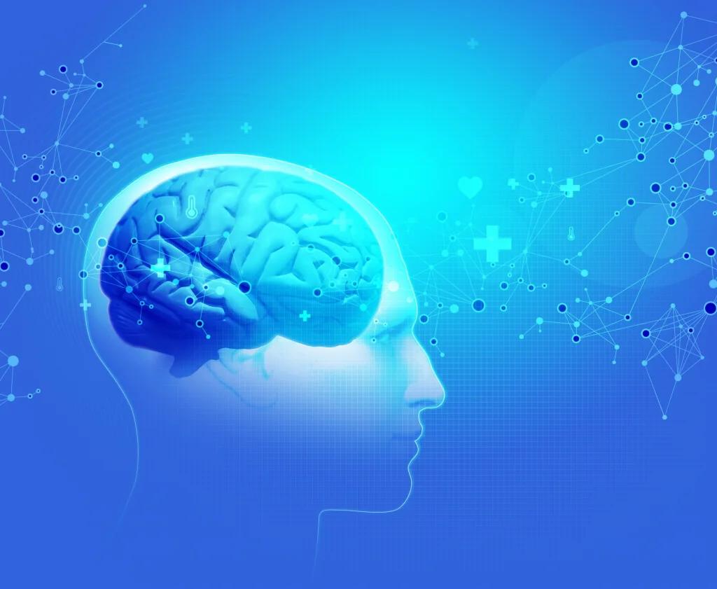 Why Emotional Intelligence Is Vital for Success in Education