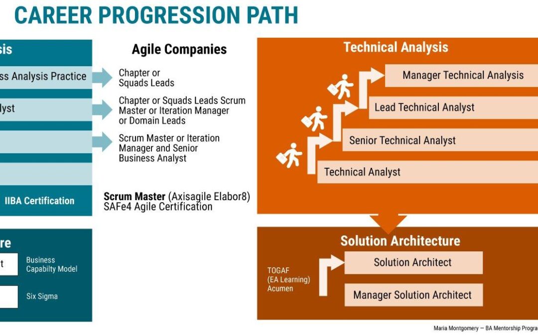 Measurement and Evaluation Analyst: Key Roles, Skills, and Career Paths Explained