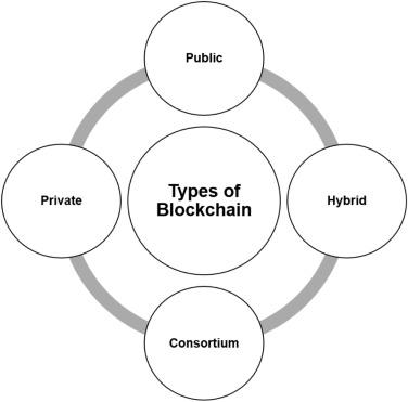 Revolutionizing Learning: Case Studies on Blockchain in Higher Education