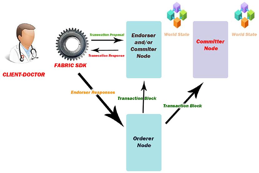Securing Academic Records with Blockchain Technology: The Future of Data Integrity