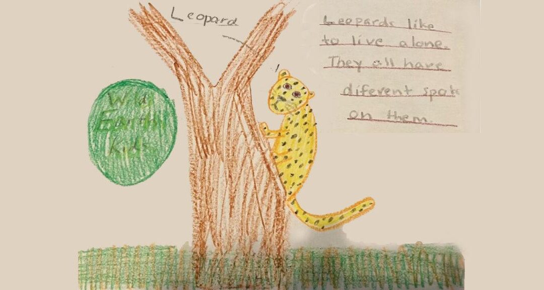 Exploring Virtual Field Trips: How Classrooms Can Discover the World Without Leaving School