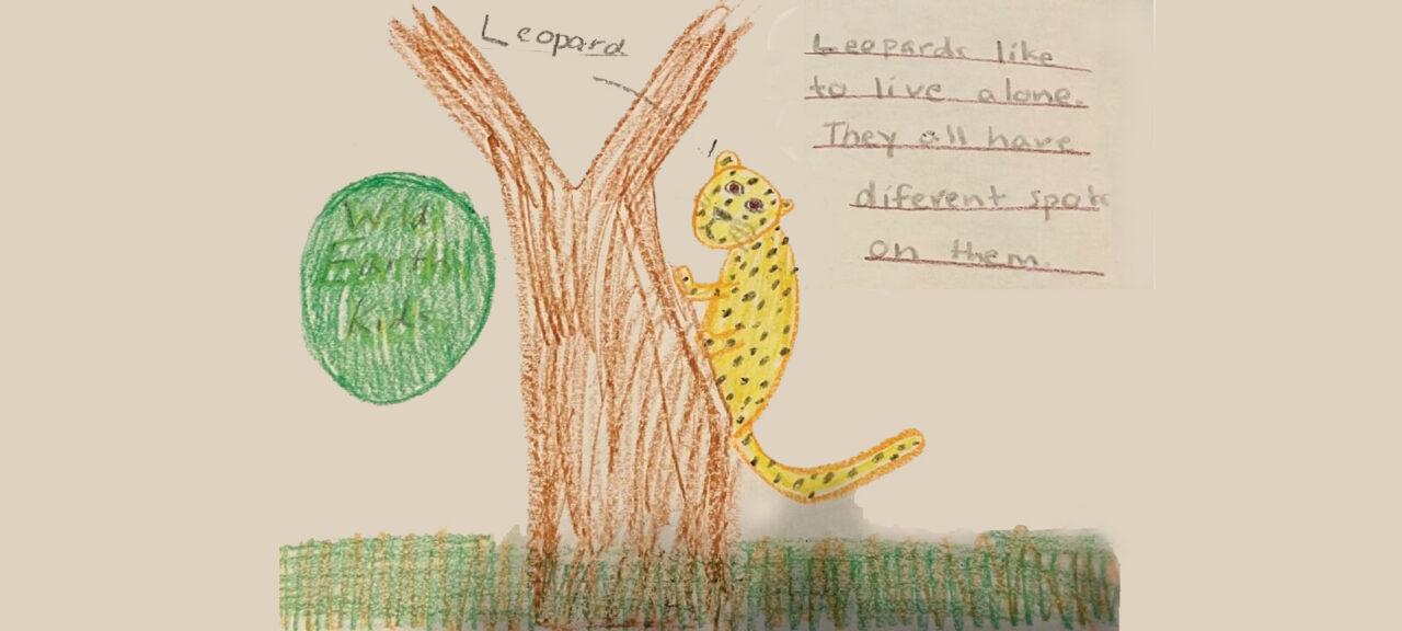 Exploring Virtual Field Trips: How Classrooms Can Discover the World Without Leaving School