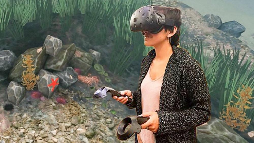 Virtual Field Trips: How Classroom Travel Expands Student Horizons Online