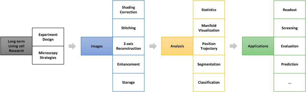 How to Measure the True Impact of SEL Programs: Key Metrics and Best Practices