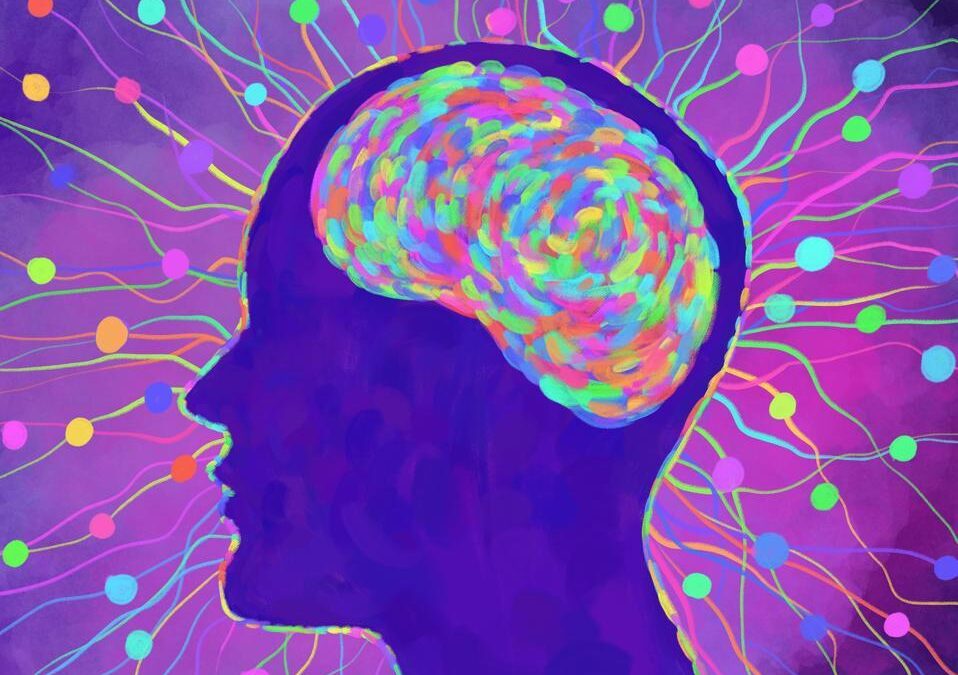 Why Emotional Intelligence Matters: Unlocking Student Success in Education