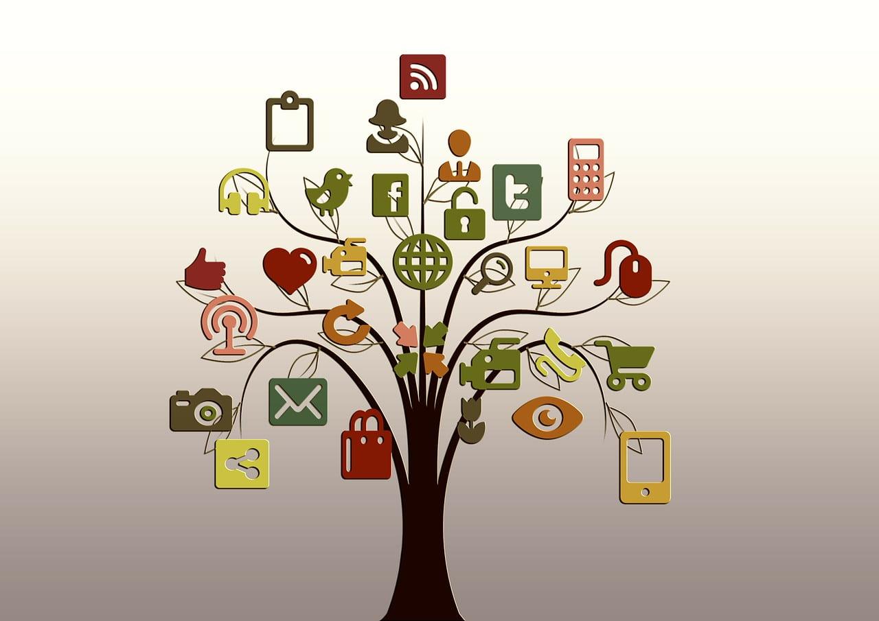 Social Media Manager in the Education Sector: Key Skills, Roles & Best Practices