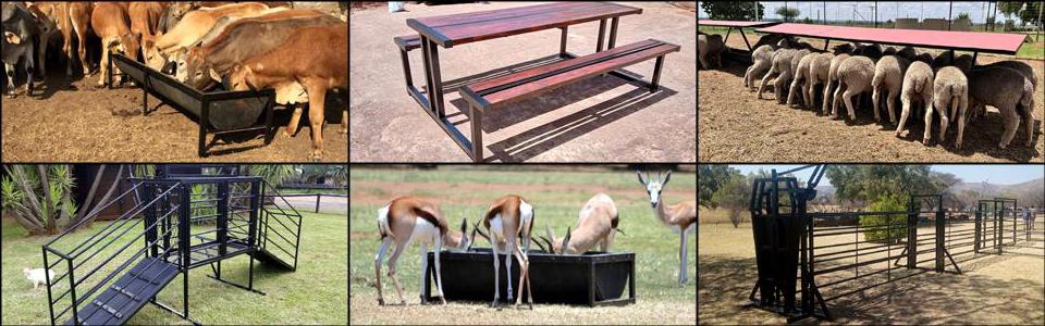 Affordable VR Solutions for Schools: Top Cost-Effective Options for Classroom Innovation