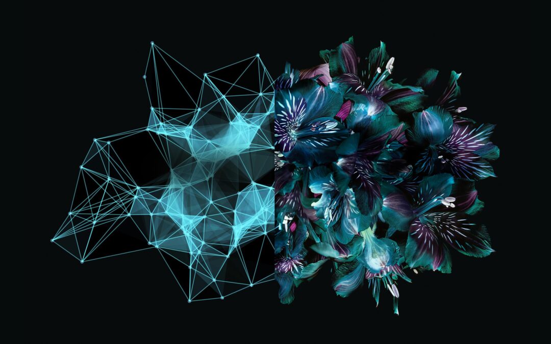 Back-End Developer Career Guide: Key Skills & Opportunities in EdTech