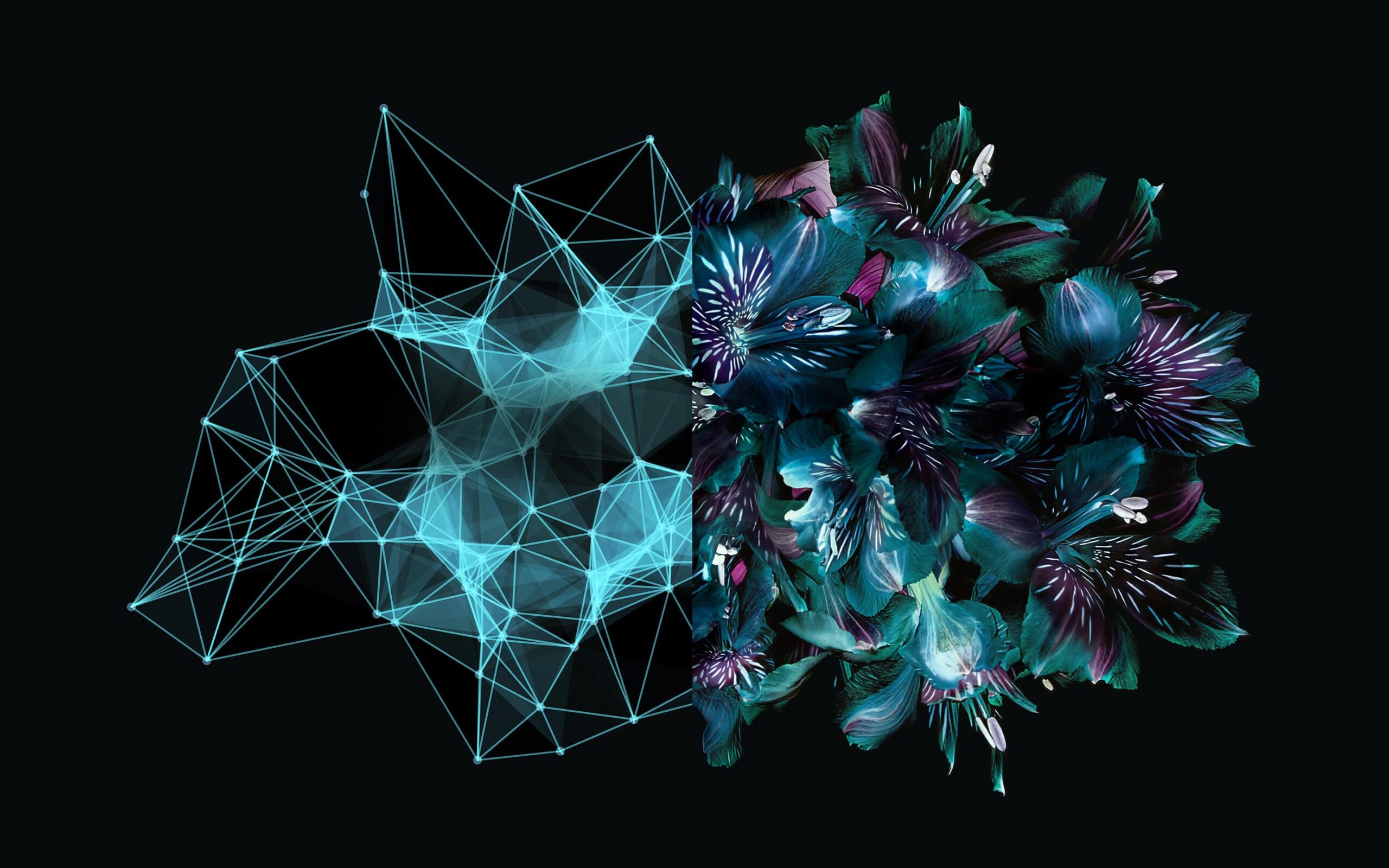 Back-End Developer Career Guide: Key Skills & Opportunities in EdTech