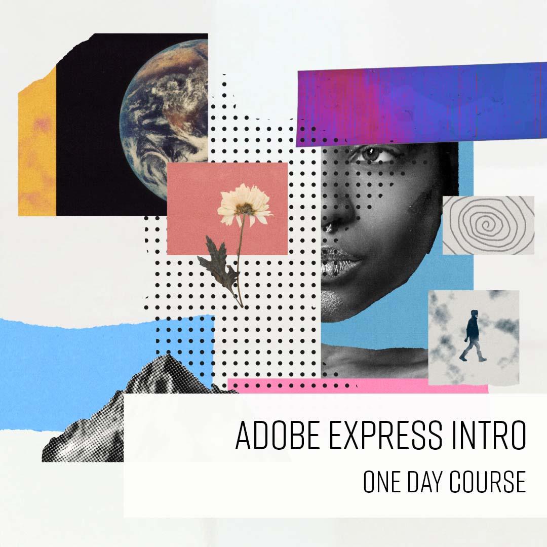 How to Become a Successful Online Course Designer: Key Skills, Tools, and Tips