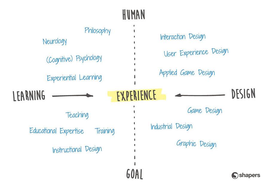 What Does a Learning Experience Designer (LXD) Do? Key Responsibilities & Skills Explained