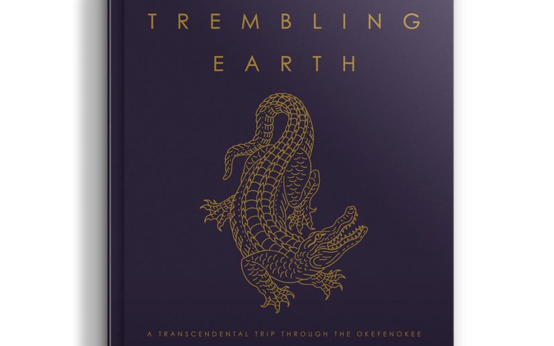 “Solutions Architect in Learning Technologies: Essential Skills, Roles, and Career Pathways”