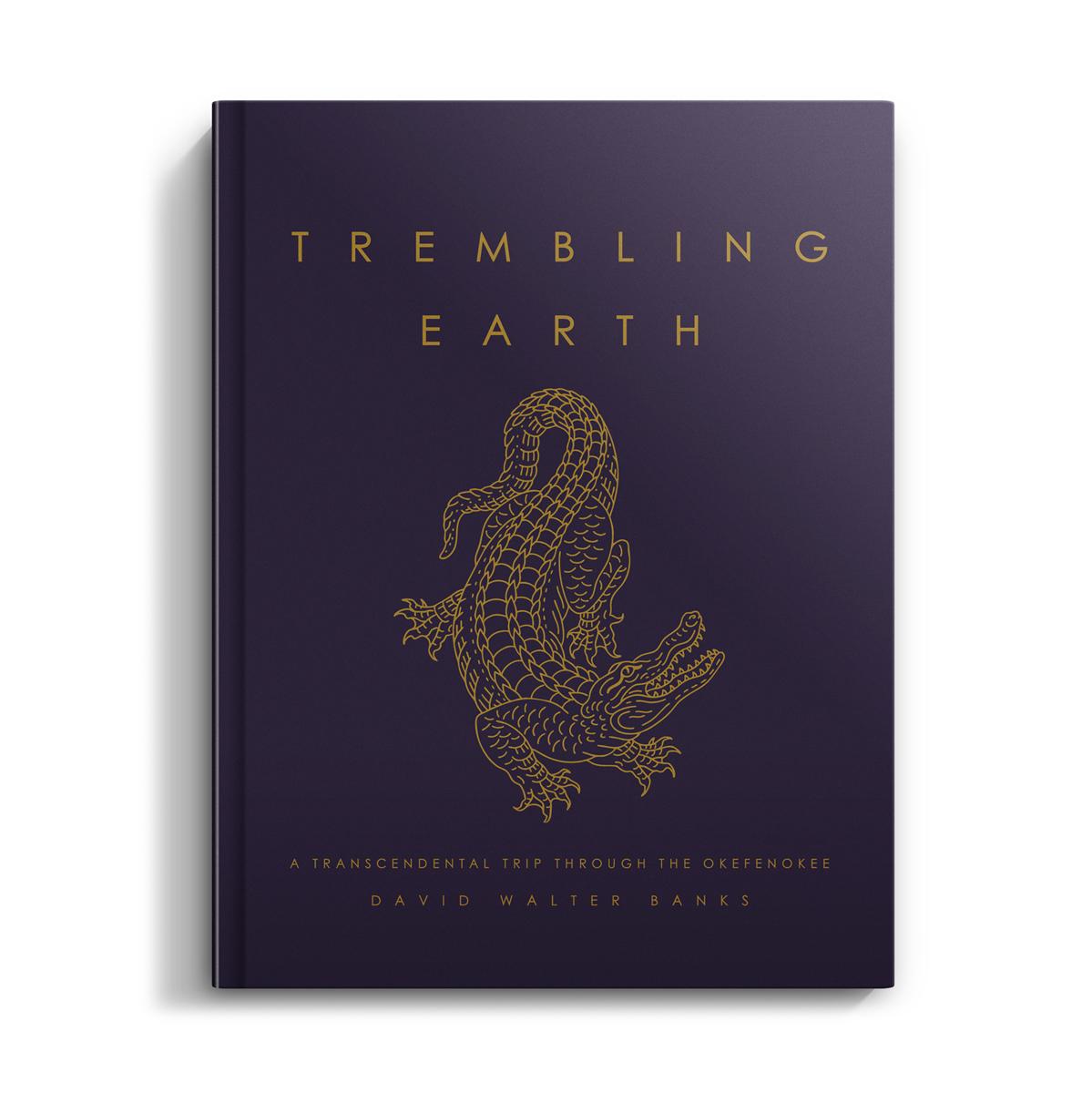 <strong>“Solutions Architect in Learning Technologies: Essential Skills, Roles, and Career Pathways”</strong>