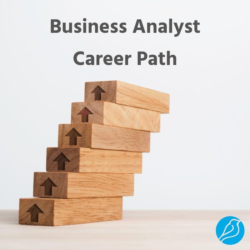 User Support Analyst in EdTech: Key Responsibilities and Career Path Guide