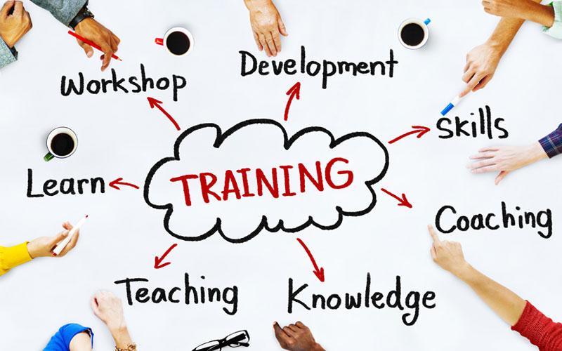 Training and Development Manager – Education: Essential Skills, Qualifications, and Career Path