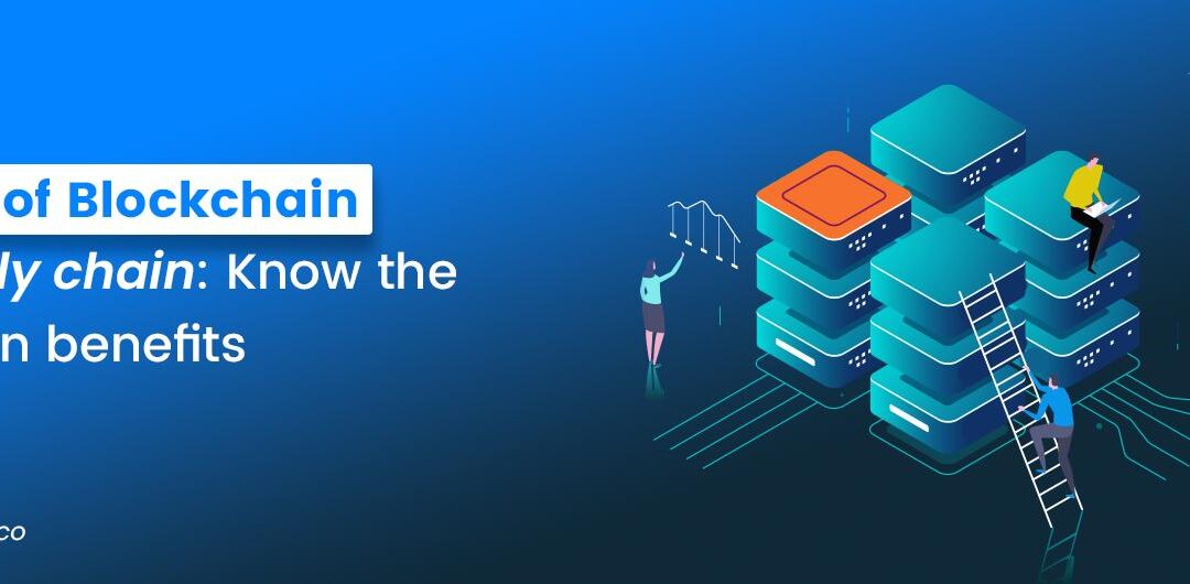 Full Stack Developer Education: Essential Learning Pathways & Top Skills for Success