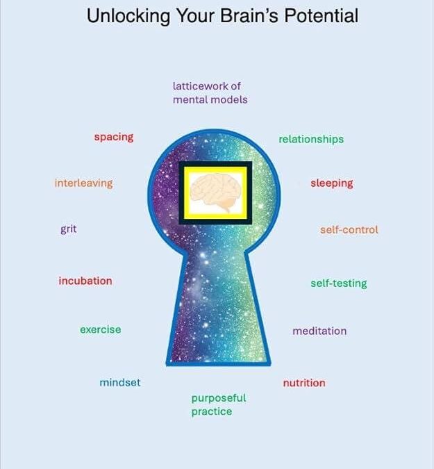 Unlocking Learning Potential: How to Effectively Integrate Gamification into Standard Curricula