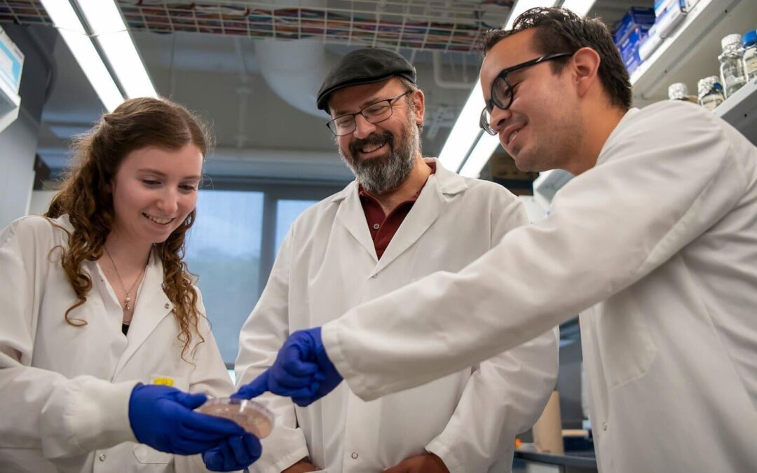 How UX Researchers Are Transforming Education Technology: Essential Skills and Impact