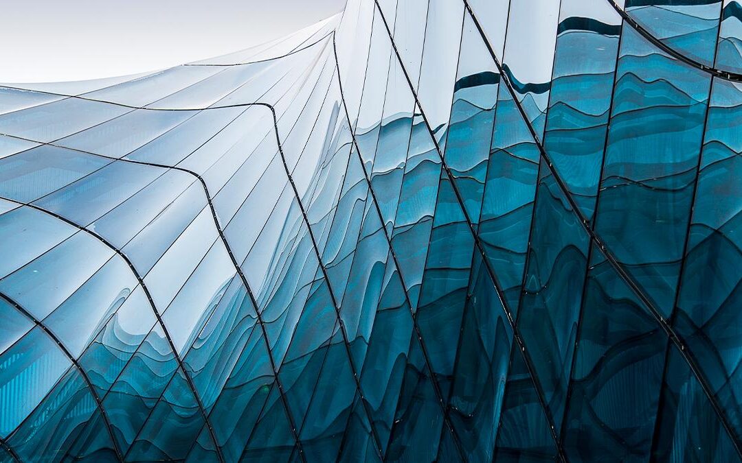 Top Skills and Responsibilities of an HR Director in EdTech: Career Insights and Opportunities